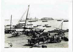 ���� ������ ��� ��� ����