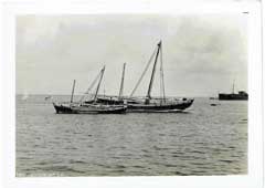 ���� ������ ��� ��� ����