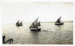 ���� ������ ��� ��� ����