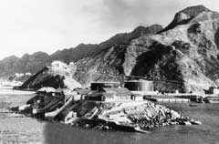 ���� ������ ��� ��� ����