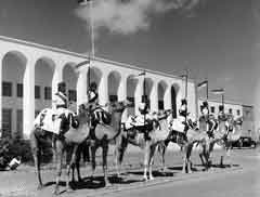 ���� ������ ��� ��� ����