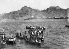 ���� ������ ��� ��� ����