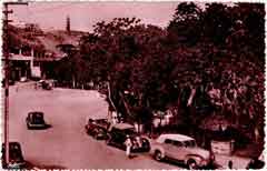 ���� ������ ��� ��� ����