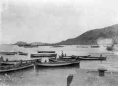 ���� ������ ��� ��� ����