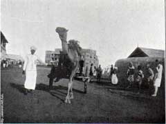 ���� ������ ��� ��� ����