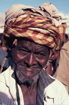 ���� ������ ��� ��� ����