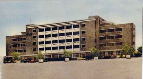 ���� ������ ��� ��� ����