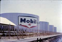 ���� ������ ��� ��� ����