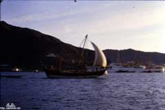 ���� ������ ��� ��� ����