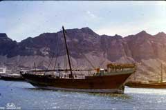 ���� ������ ��� ��� ����