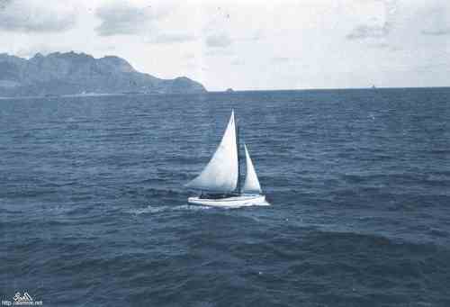 ���� ������ ��� ��� ����