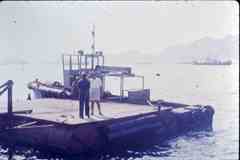 ���� ������ ��� ��� ����