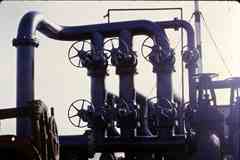 ���� ������ ��� ��� ����