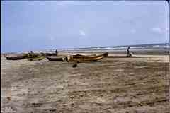 ���� ������ ��� ��� ����