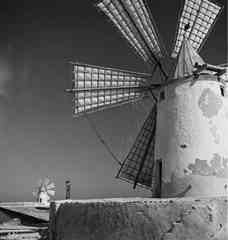 ���� ������ ��� ��� ����