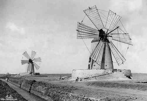 ���� ������ ��� ��� ����