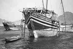 انقر للحصول على حجم اكبر