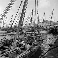 انقر للحصول على حجم اكبر