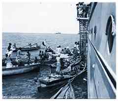 ���� ������ ��� ��� ����