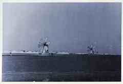 ���� ������ ��� ��� ����