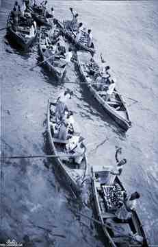 ���� ������ ��� ��� ����