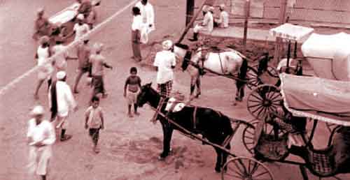 ���� ������ ��� ��� ����