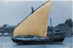 ���� ������ ��� ��� ����