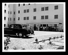 ���� ������ ��� ��� ����