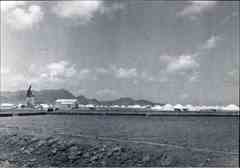 ���� ������ ��� ��� ����