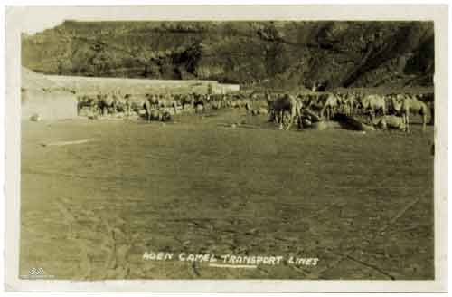 ���� ������ ��� ��� ����