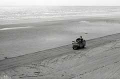 ���� ������ ��� ��� ����