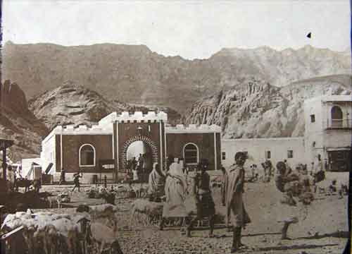 ���� ������ ��� ��� ����