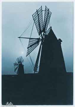 ���� ������ ��� ��� ����