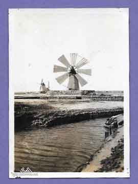 ���� ������ ��� ��� ����