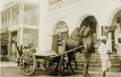 ���� ������ ��� ��� ����