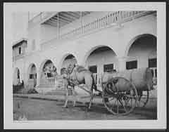 ���� ������ ��� ��� ����