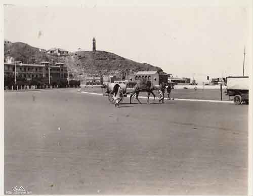 ���� ������ ��� ��� ����