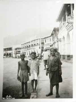 ���� ������ ��� ��� ����