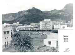 ���� ������ ��� ��� ����