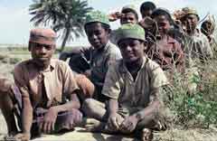 ���� ������ ��� ��� ����