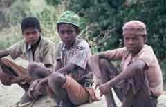 ���� ������ ��� ��� ����