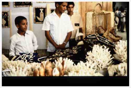 ���� ��� ������ ������ ��� ��� ����