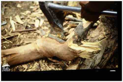 ���� ��� ������ ������ ��� ��� ����