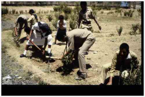 ���� ��� ������ ������ ��� ��� ����