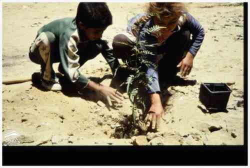 ���� ��� ������ ������ ��� ��� ����