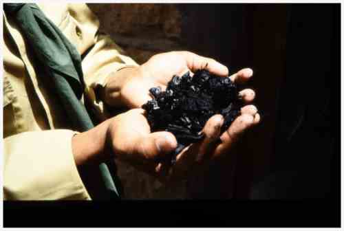 ���� ��� ������ ������ ��� ��� ����