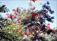 انقر للحصول على حجم اكبر