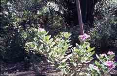 انقر للحصول على حجم اكبر