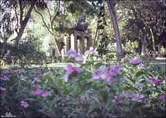 انقر للحصول على حجم اكبر