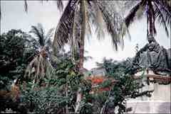 انقر للحصول على حجم اكبر